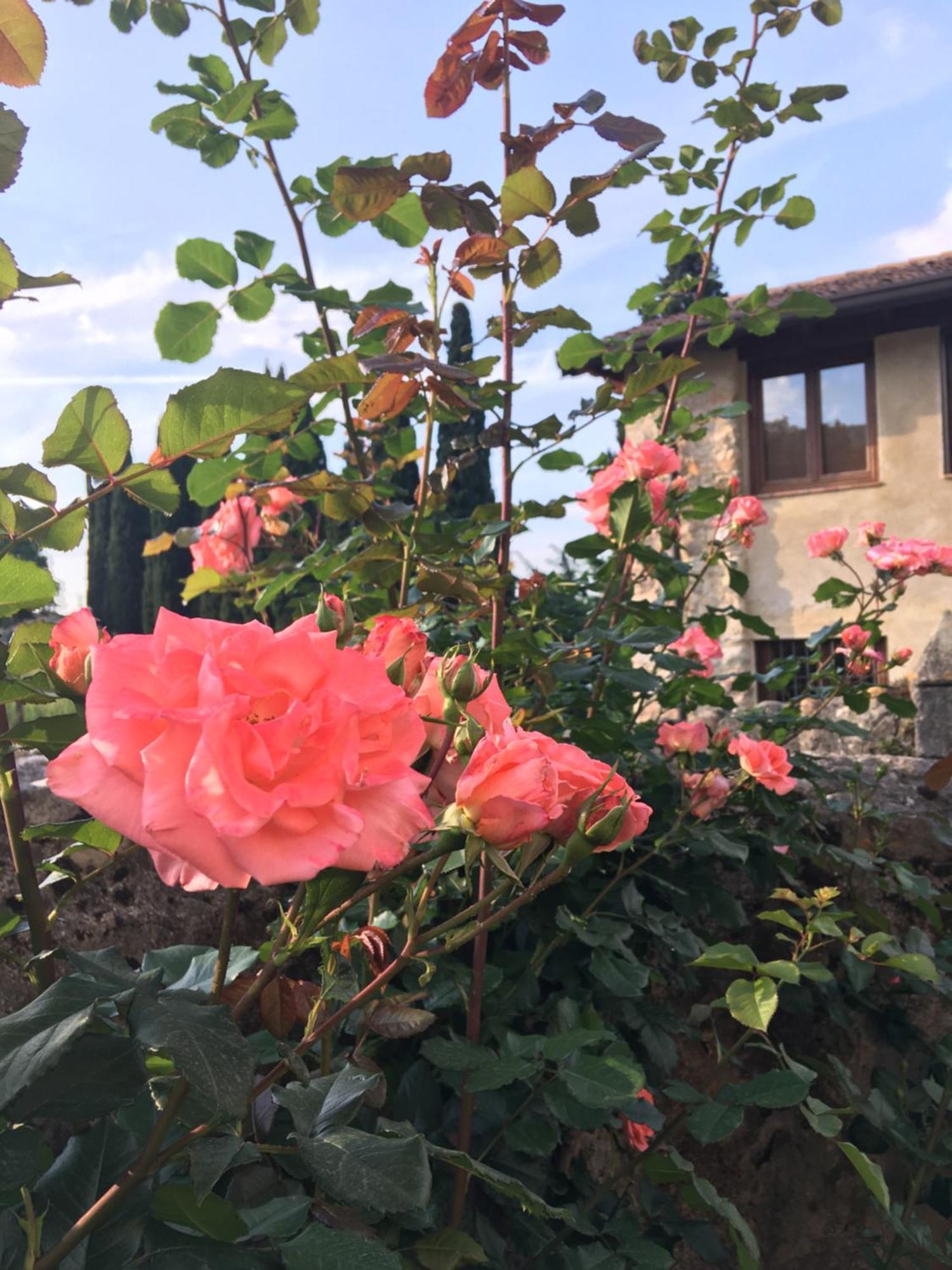 Agriturismo Val Costermano Exterior photo